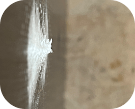 Conventional Puncture Protection